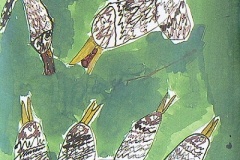 27