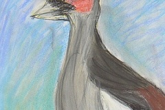 33