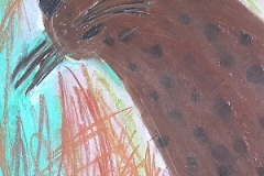 37