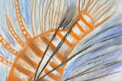 39