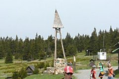 74