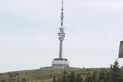 77