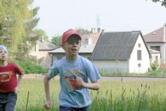 66