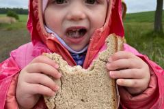 IMG-20250516-WA0012