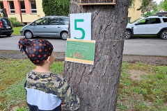 IMG-20250522-WA0039
