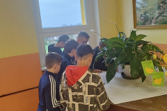IMG_20250415_074626