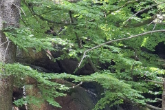 IMG-20260619-WA0002