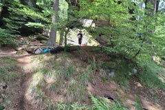 IMG-20260619-WA0005